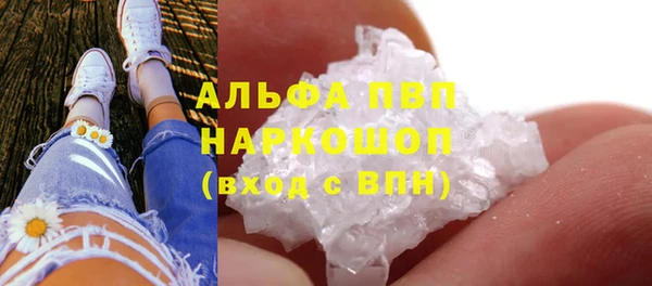 стаф Беломорск