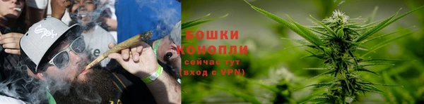 тгк Сосновый Бор