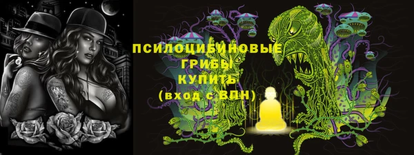 круглые Белокуриха